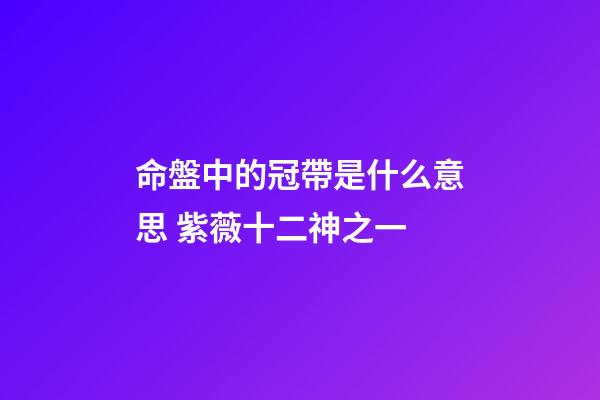命盤中的冠帶是什么意思 紫薇十二神之一